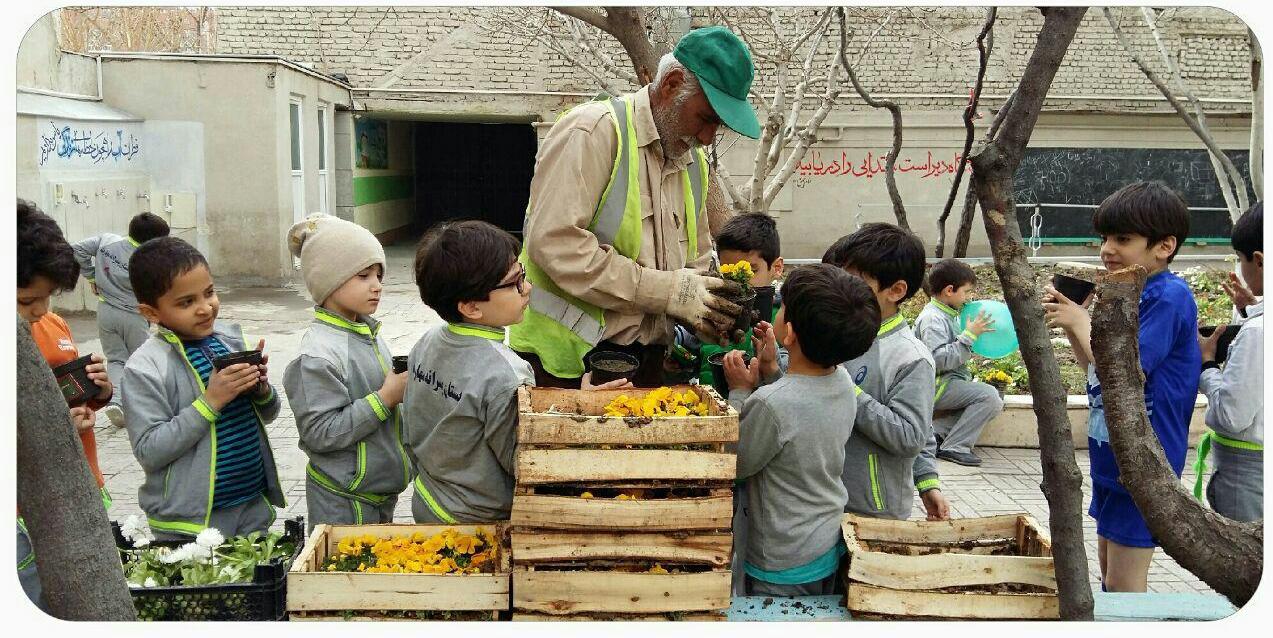 روز درختکاری سال ۹۵